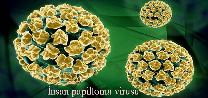 İnsan papilloma virusu